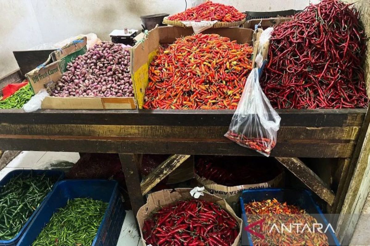 Strategi Penting: Jumat pagi, harga cabai rawit Rp84.650/kg, telur ayam Rp32.650/kg