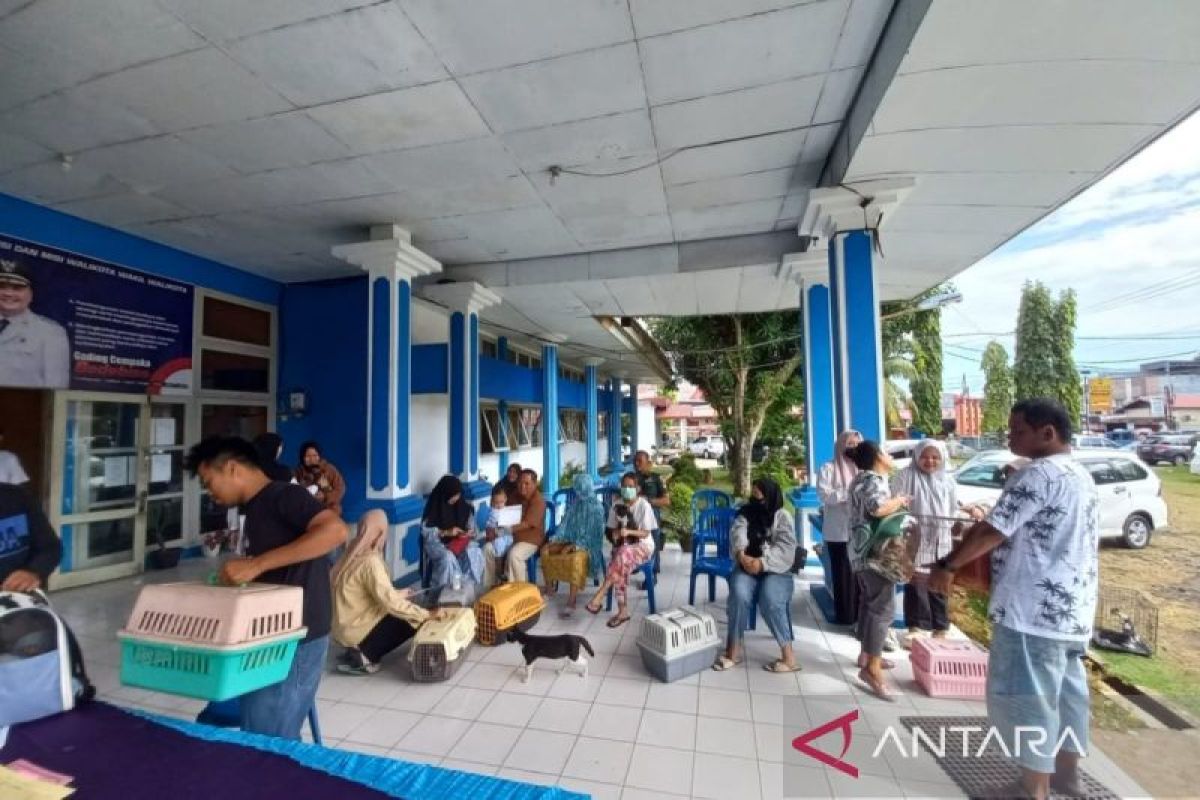 Program Terbaru: Pemprov Bengkulu salurkan 2.000 dosis vaksin rabies