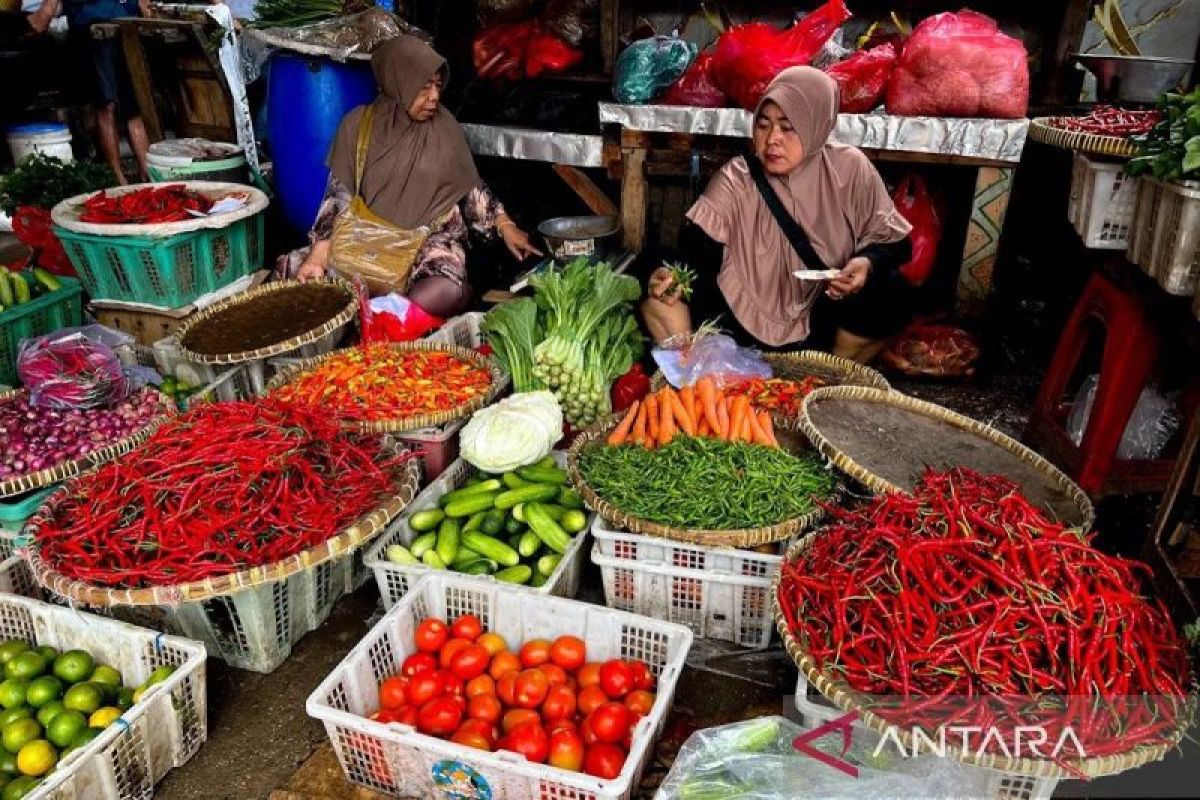 Special Plan: PIHPS: Harga cabai rawit Rp74.150/kg, telur ayam Rp30.300/kg