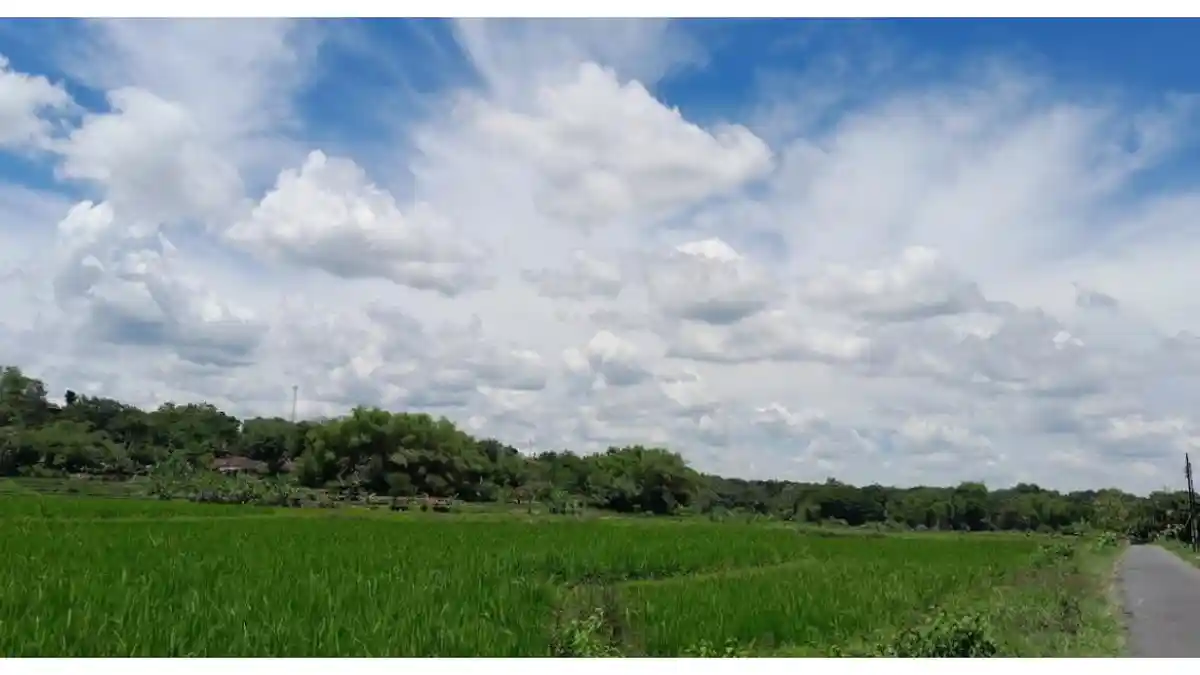 Berawan-Tebal-di-Bogor22