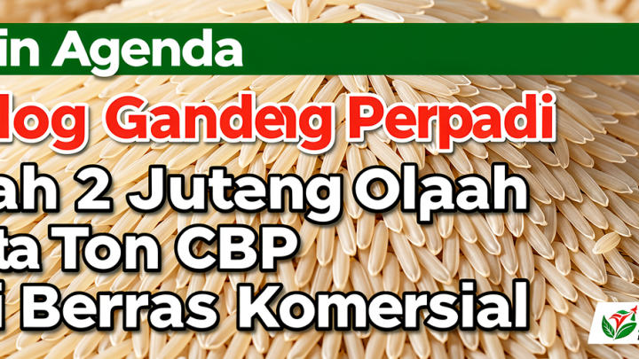 Main Agenda: Bulog Gandeng Perpadi Olah 2 Juta Ton CBP Jadi Beras Komersial