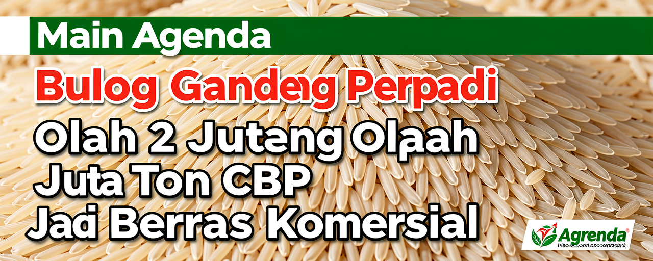 Bulog Gandeng Perpadi Olah 2 Juta Ton CBP Jadi Beras Komersial